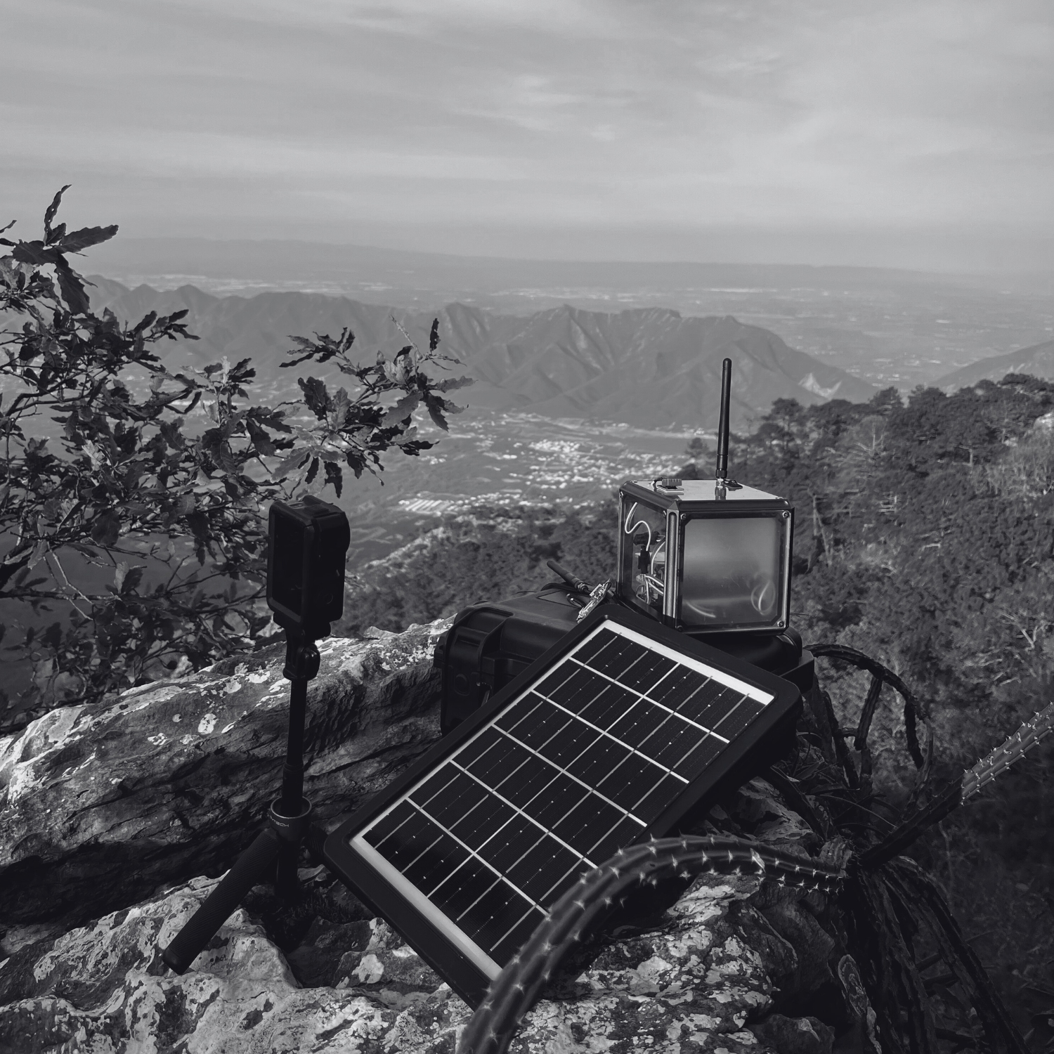 IoT sensor in field