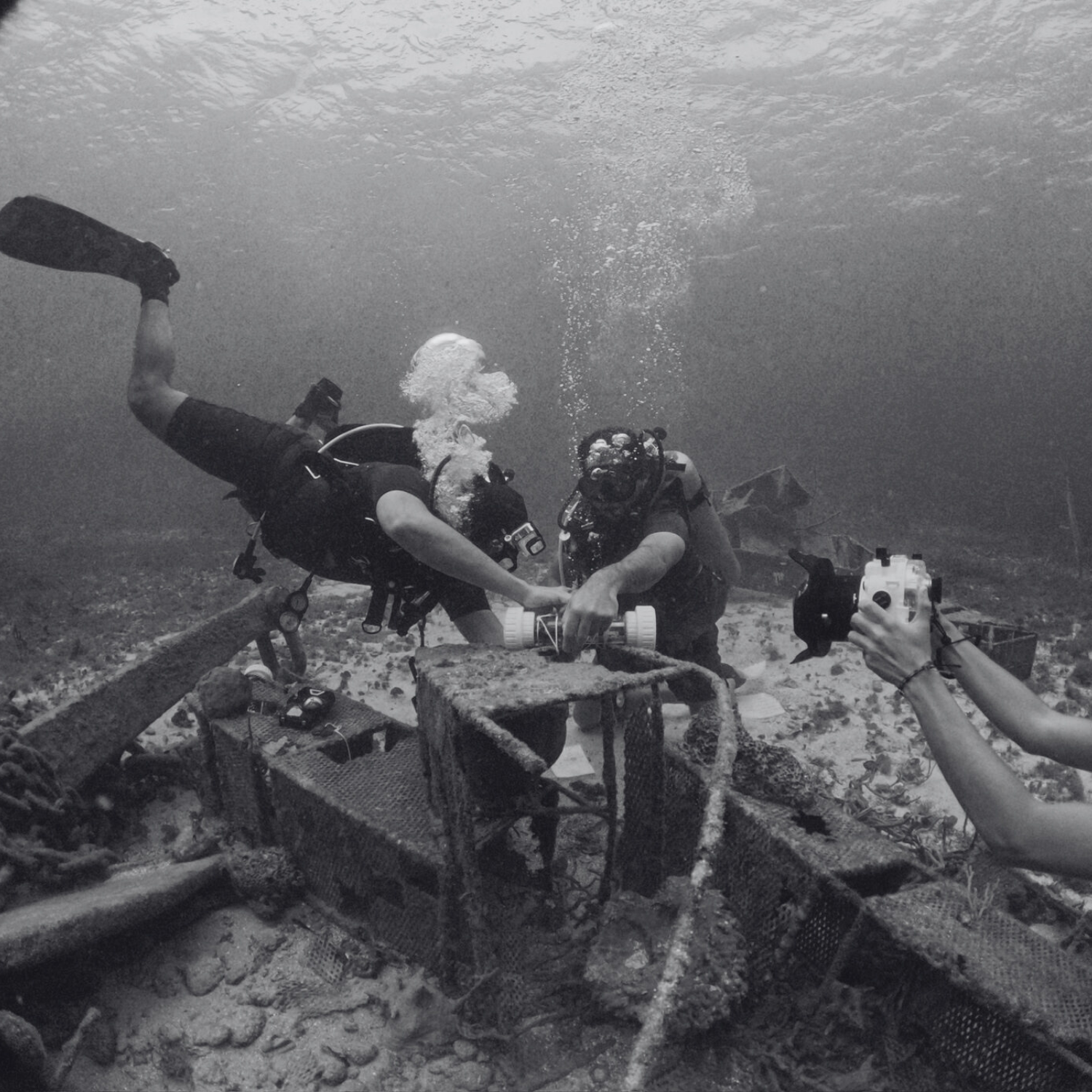 Underwater reef